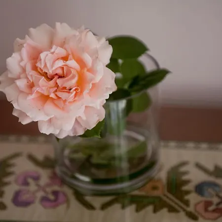 Nicky Λευκάδα